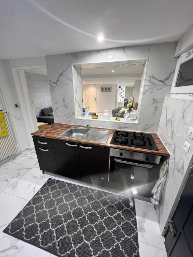 Appartement Proche Marche De Noel De Strasbourg Wolfisheim Εξωτερικό φωτογραφία